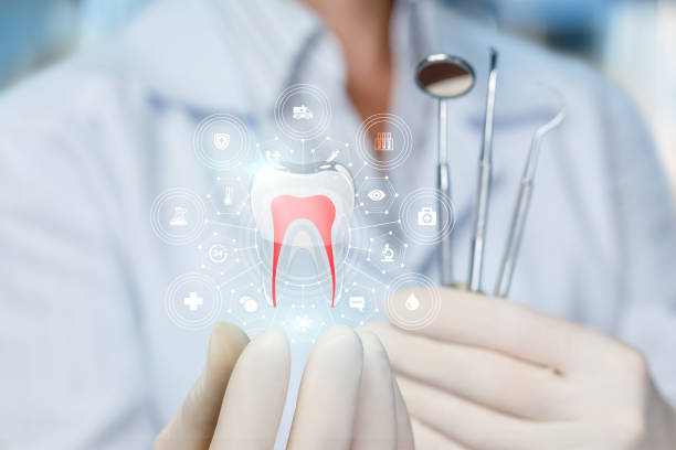 Professional Holistic Dental Care Services in Emory, TX